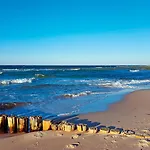 Sanddorn, Strandflieder * Prerow