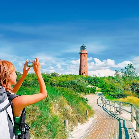 Sanddorn, Strandflieder Apartman Prerow