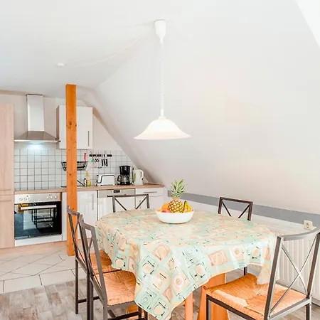 Sanddorn, Strandflieder *