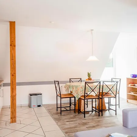 Sanddorn, Strandflieder Prerow