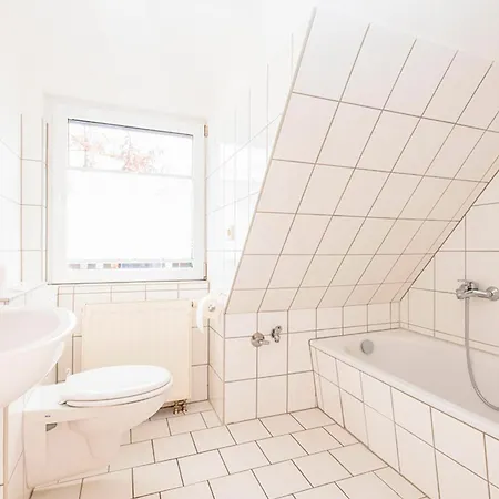 Sanddorn, Strandflieder