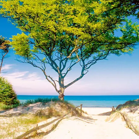 Sanddorn, Strandflieder Apartman *