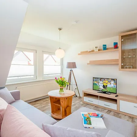 Sanddorn, Strandflieder * Prerow